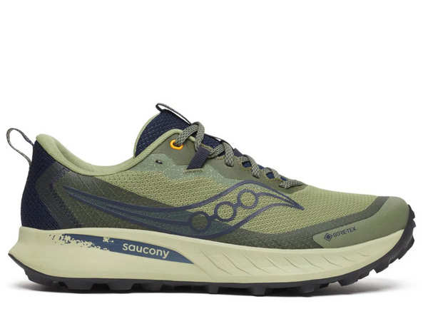 Men's Peregrine 15 GTX — Hemlock/Navy
